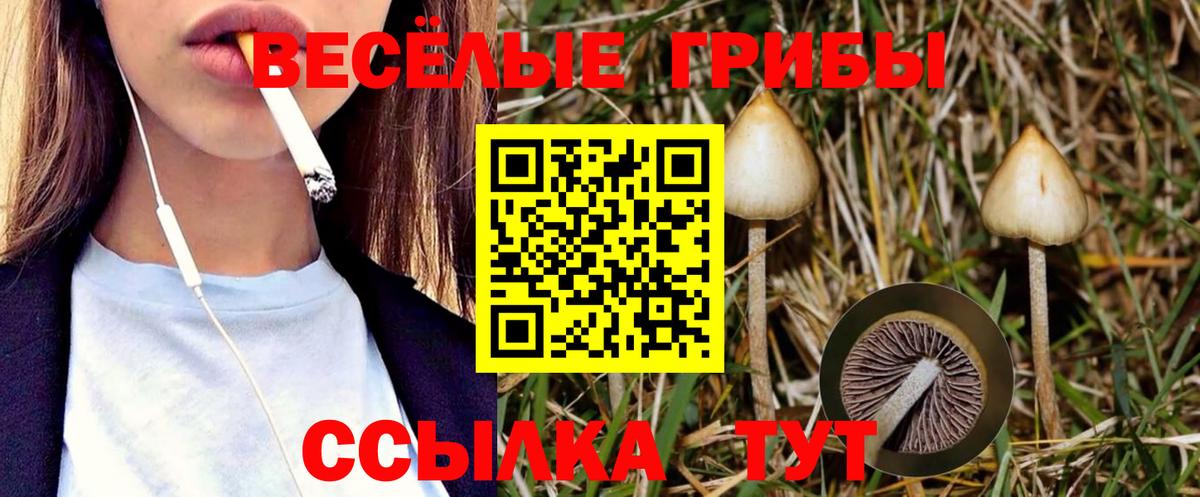 Галлюциногенные грибы Psilocybe  Вход с VPN  сколько стоит  Лянтор 